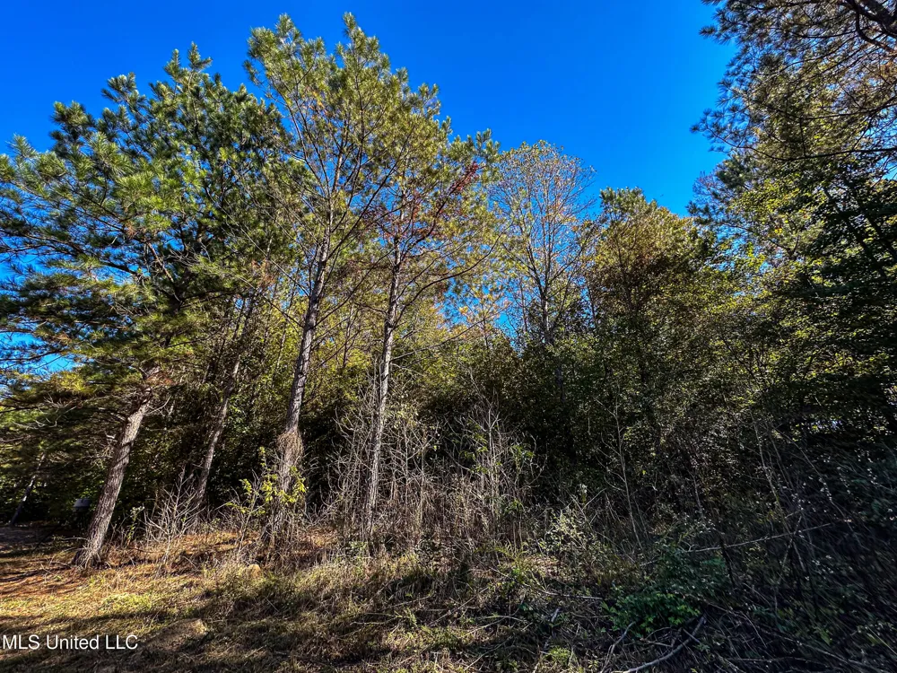 01 Mississippi 331 Paris, MS 38949