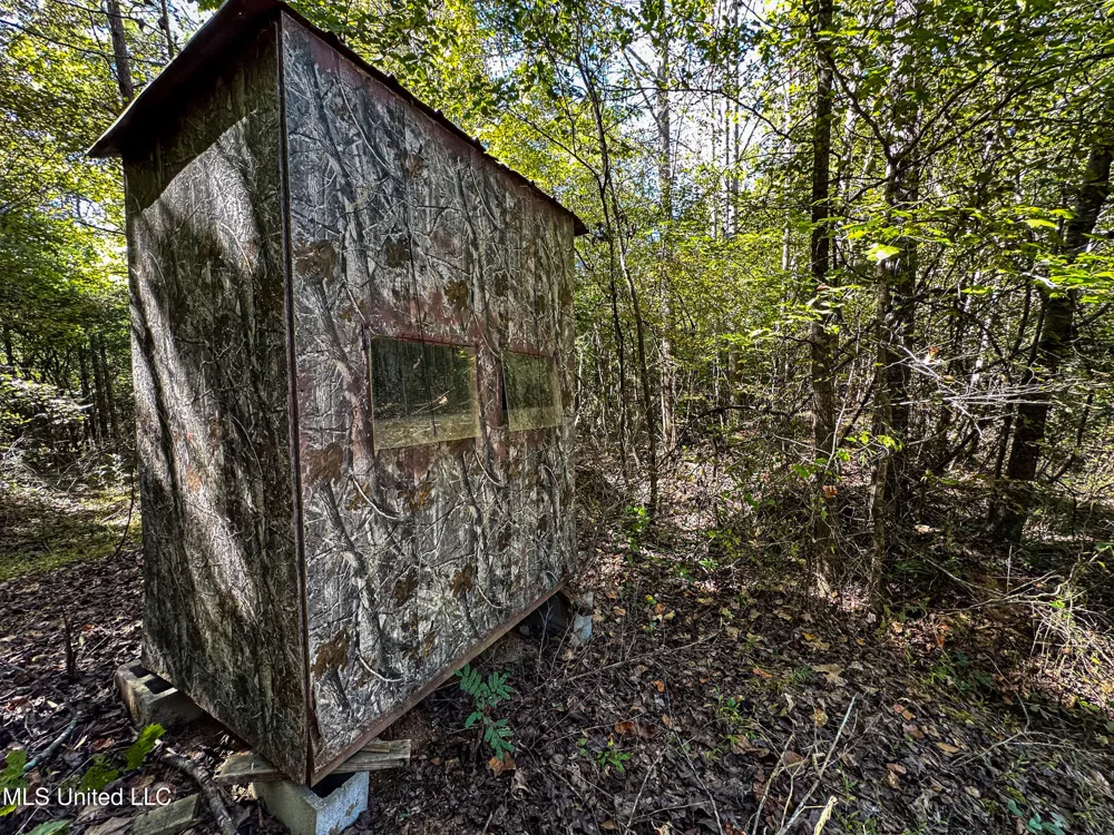 01 Mississippi 331 Paris, MS 38949