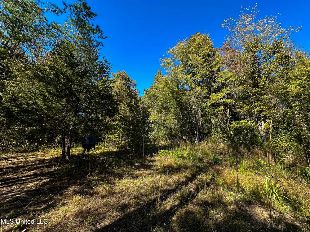 01 Mississippi 331 Paris, MS 38949