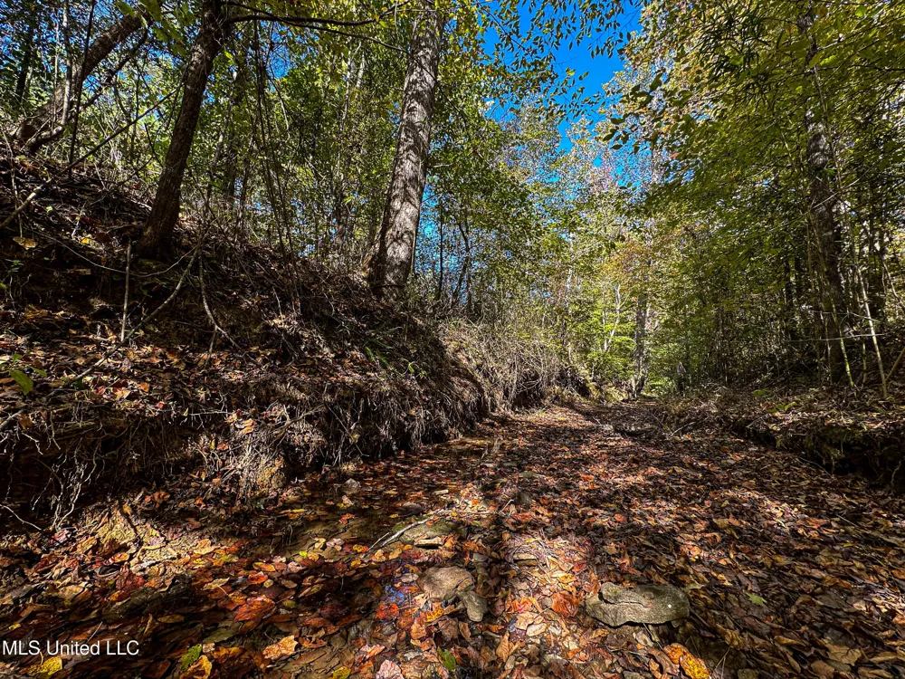 01 Mississippi 331 Paris, MS 38949
