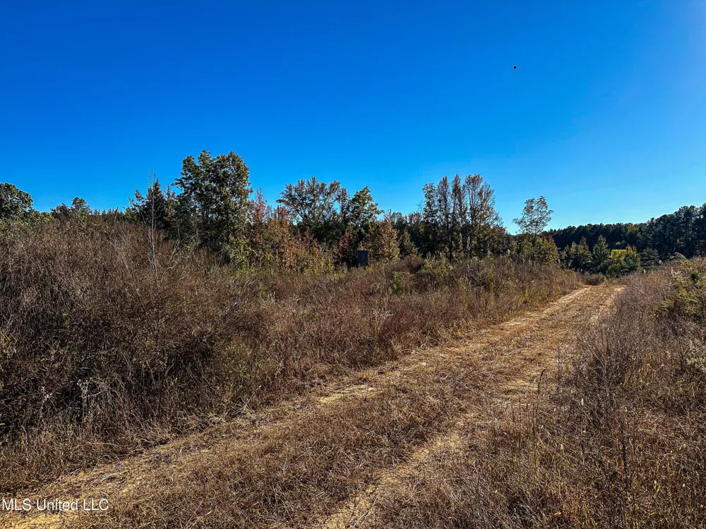 01 Mississippi 331 Paris, MS 38949