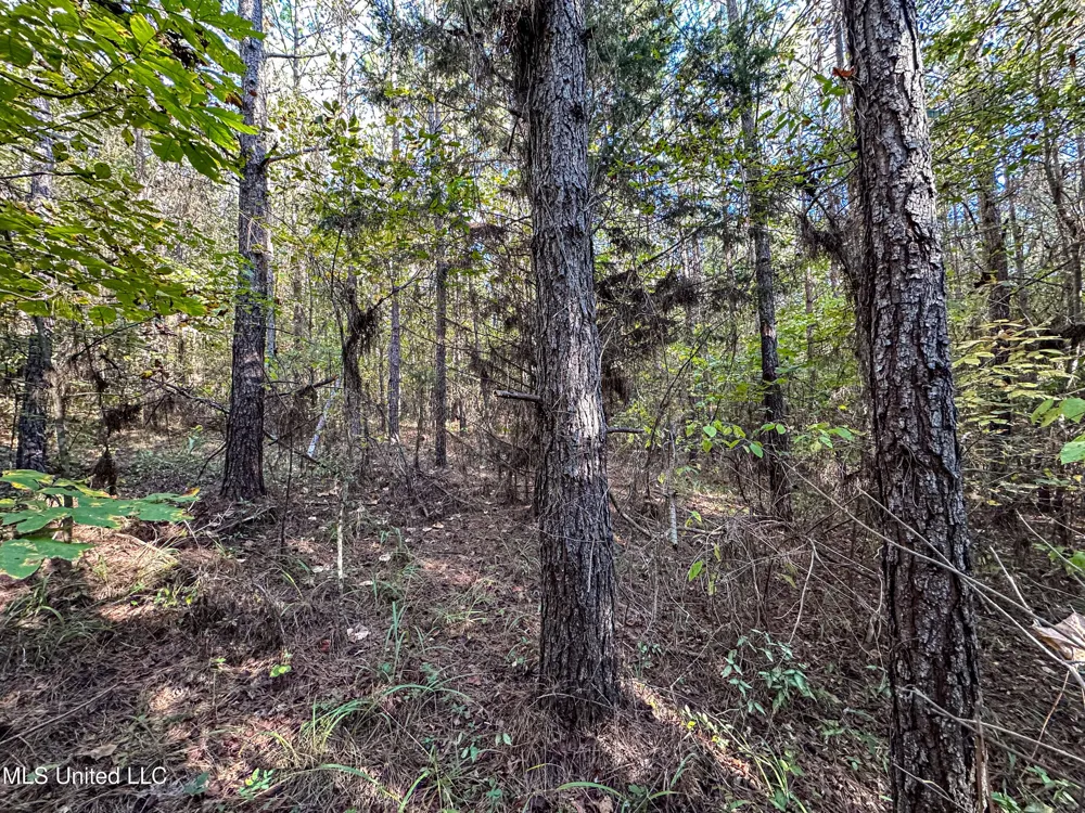 01 Mississippi 331 Paris, MS 38949
