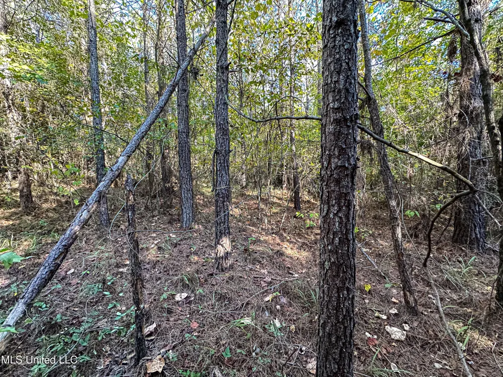 01 Mississippi 331 Paris, MS 38949