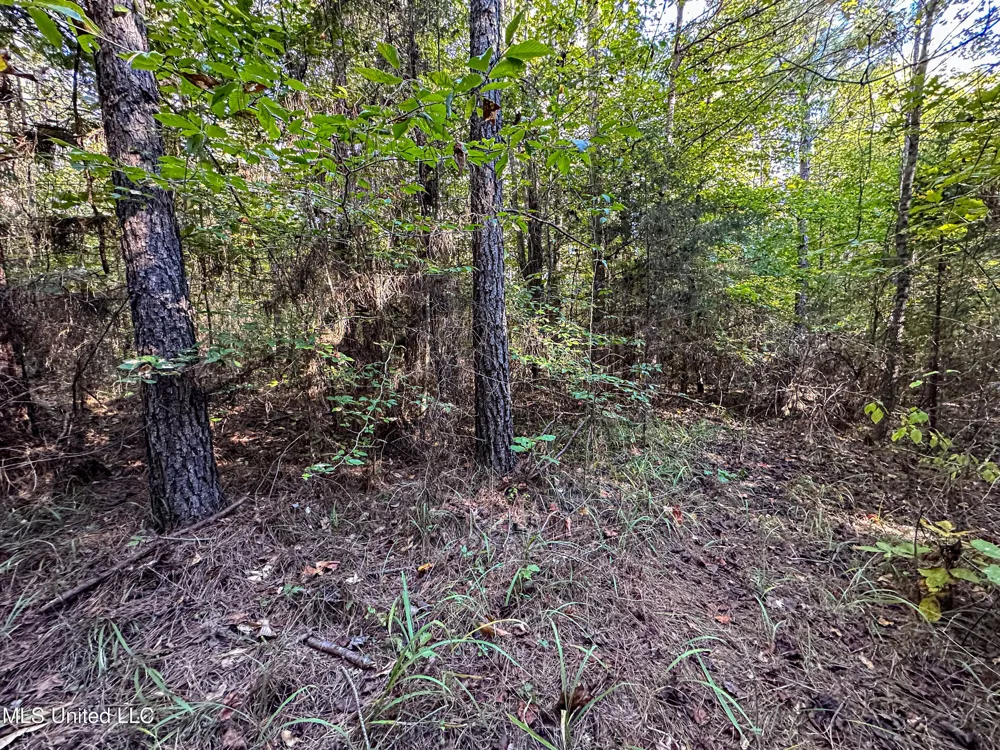 01 Mississippi 331 Paris, MS 38949