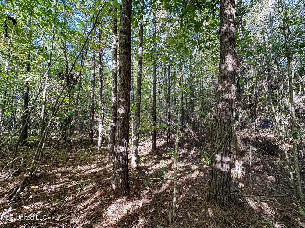 01 Mississippi 331 Paris, MS 38949