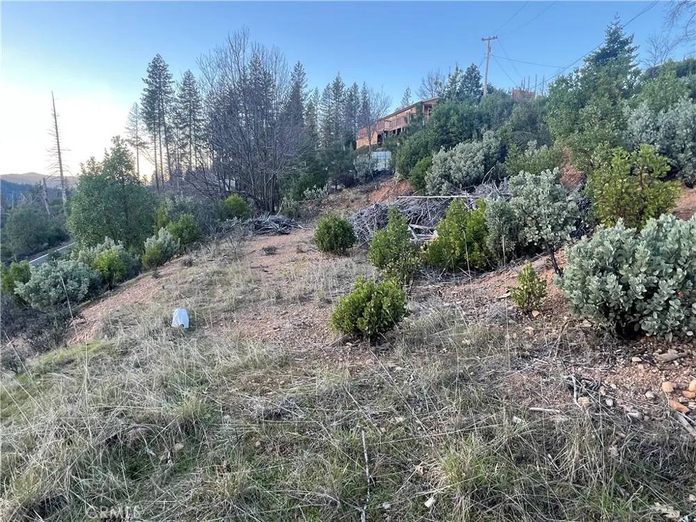 16749 Starview Loop Road Cobb, CA 95426