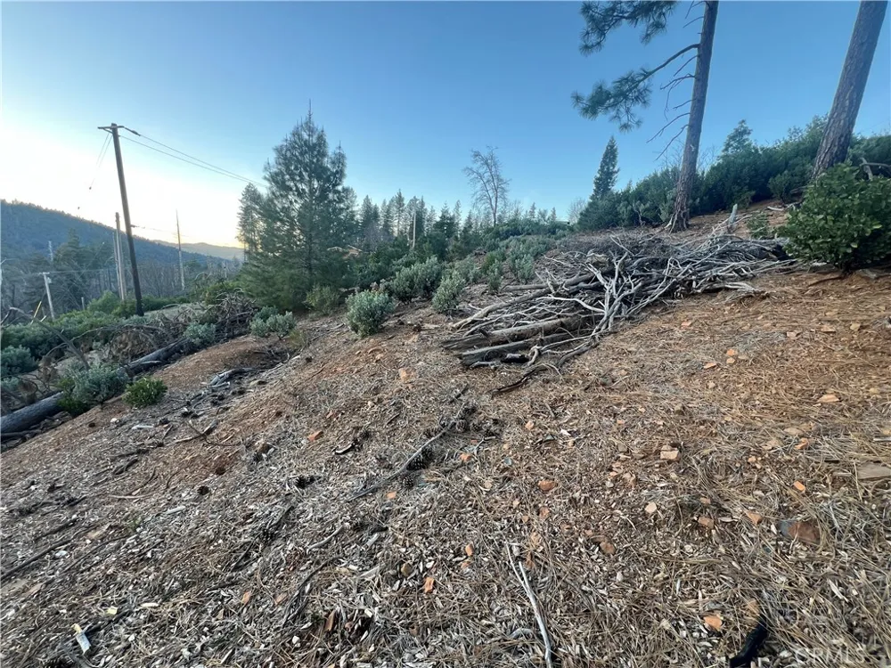16749 Starview Loop Road Cobb, CA 95426