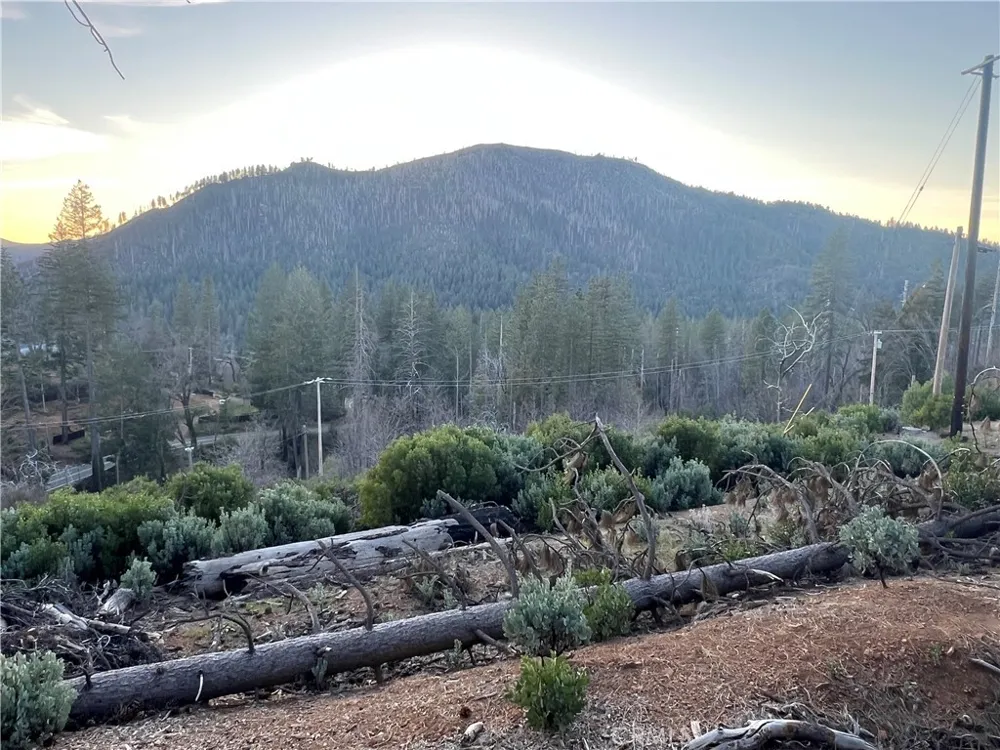 16749 Starview Loop Road Cobb, CA 95426