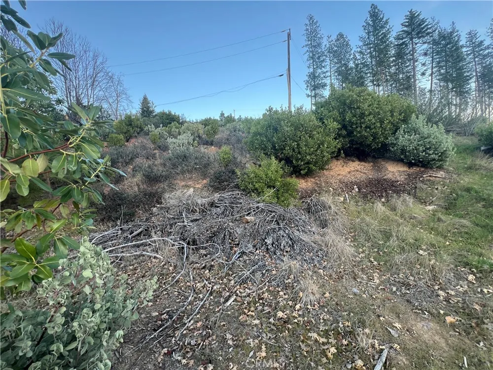 16749 Starview Loop Road Cobb, CA 95426