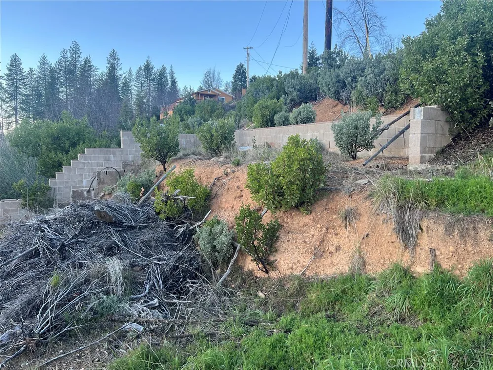16749 Starview Loop Road Cobb, CA 95426