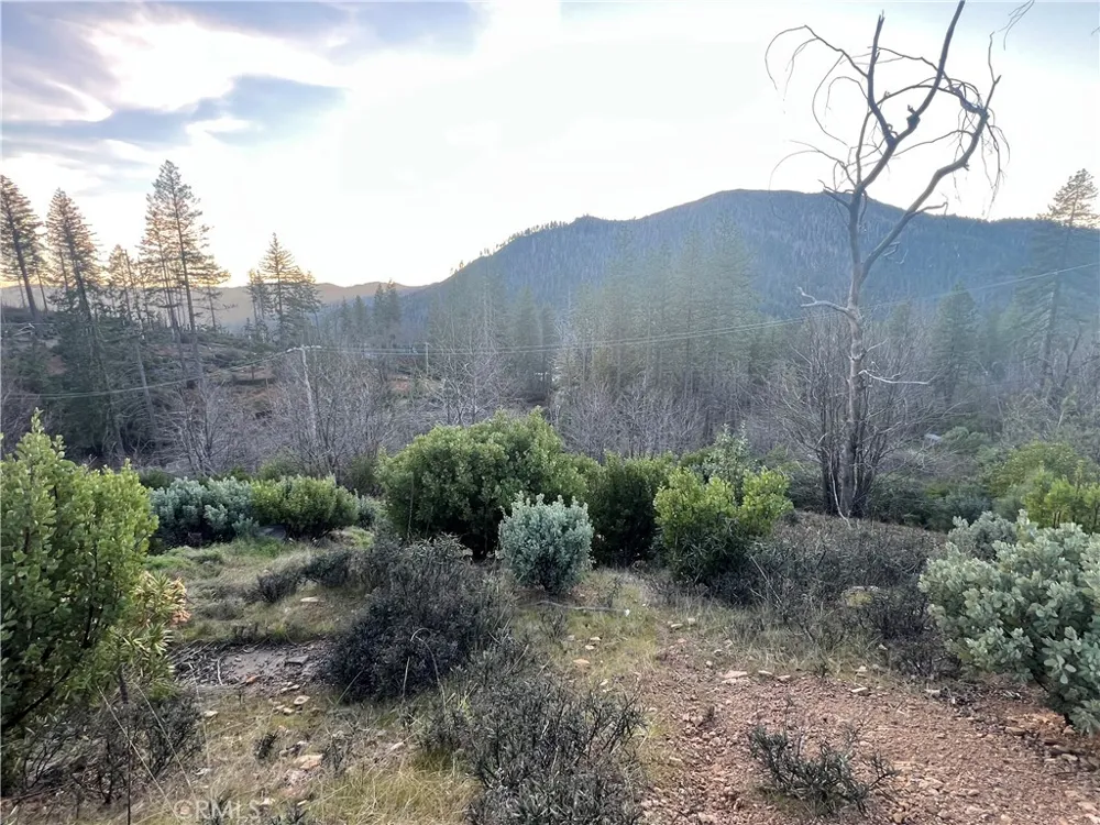 16749 Starview Loop Road Cobb, CA 95426
