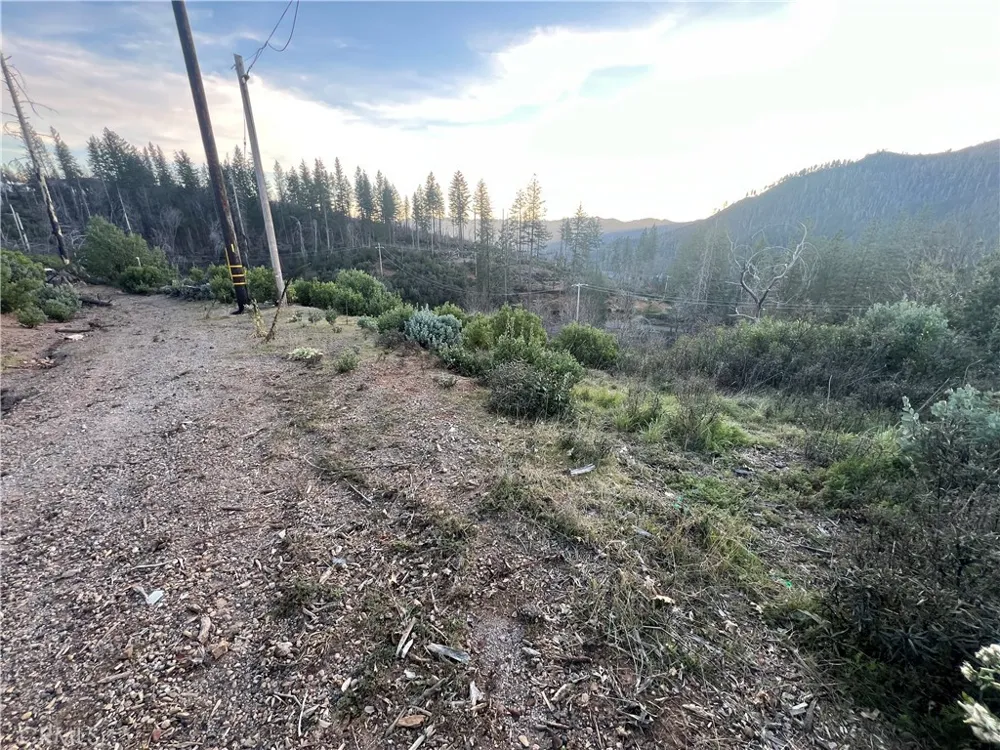 16749 Starview Loop Road Cobb, CA 95426