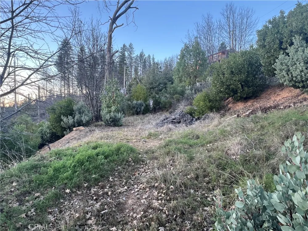 16749 Starview Loop Road Cobb, CA 95426