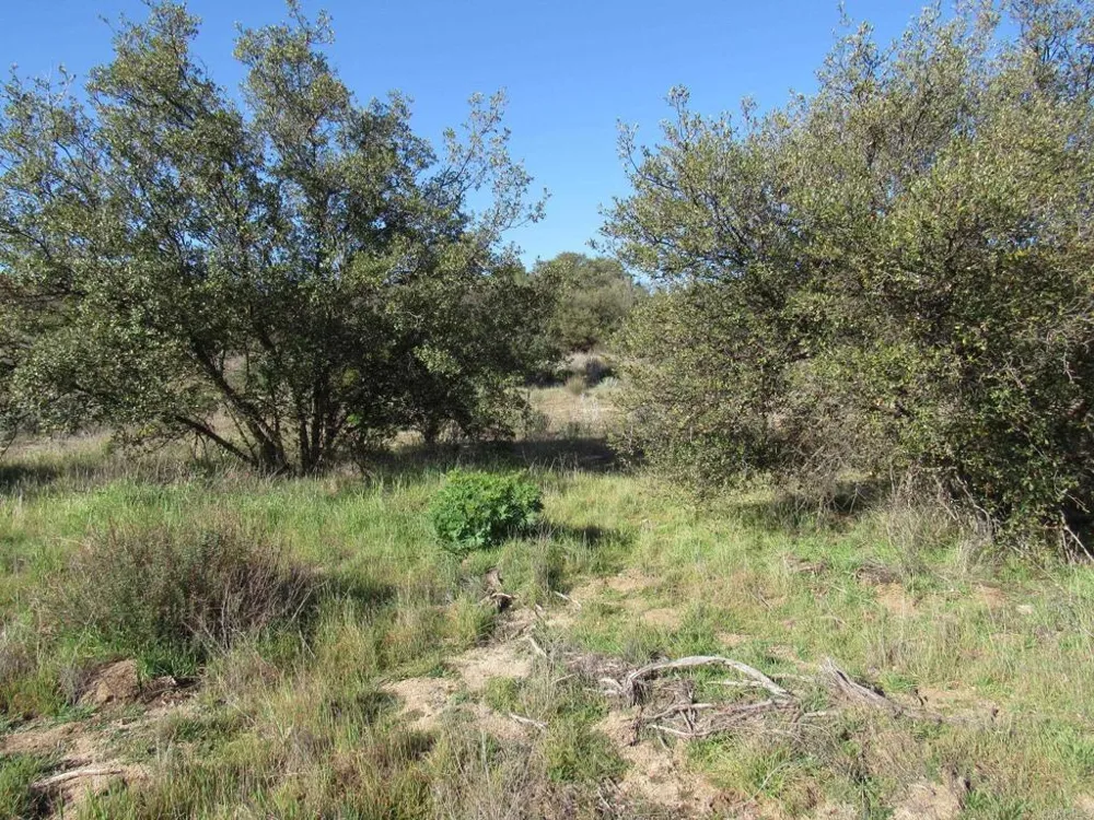 4 Buckman Springs Rd Campo, CA 91906