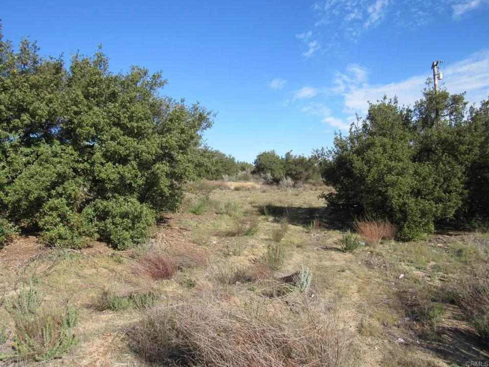 4 Buckman Springs Rd Campo, CA 91906