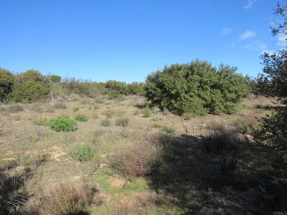 4 Buckman Springs Rd Campo, CA 91906