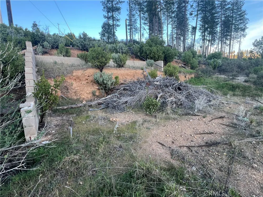 16789 Starview Loop Cobb, CA 95426