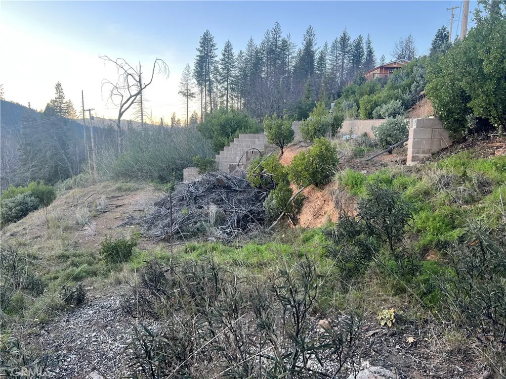 16789 Starview Loop Cobb, CA 95426