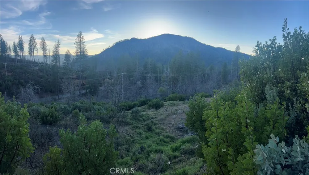 16789 Starview Loop Cobb, CA 95426