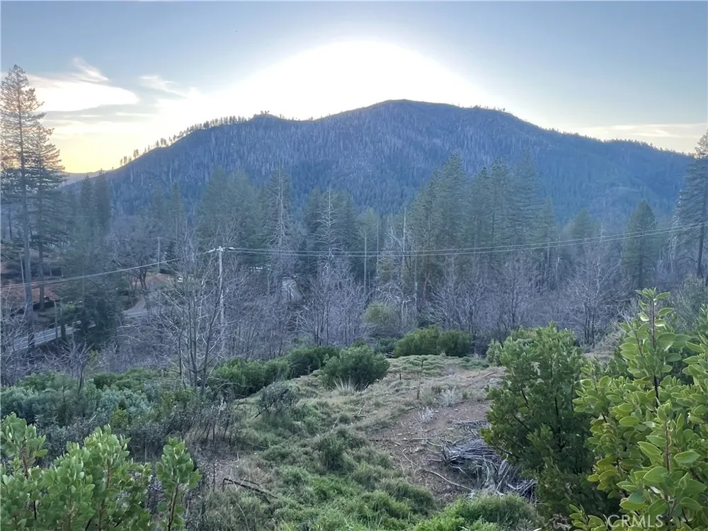 16709 Starview Loop Cobb, CA 95426