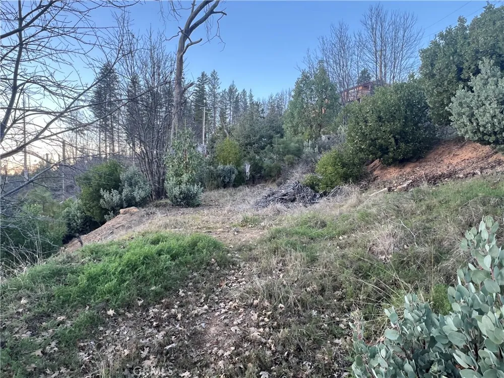 16709 Starview Loop Cobb, CA 95426