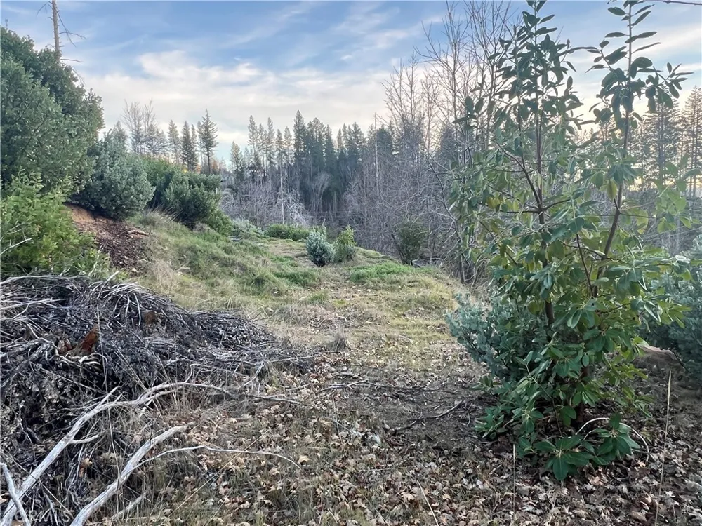 16709 Starview Loop Cobb, CA 95426