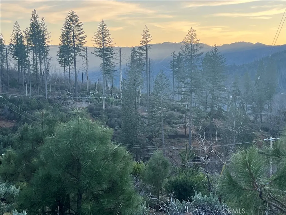 16709 Starview Loop Cobb, CA 95426