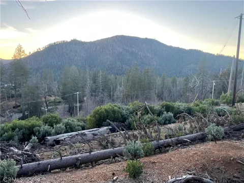 16710 Starview Loop Rd