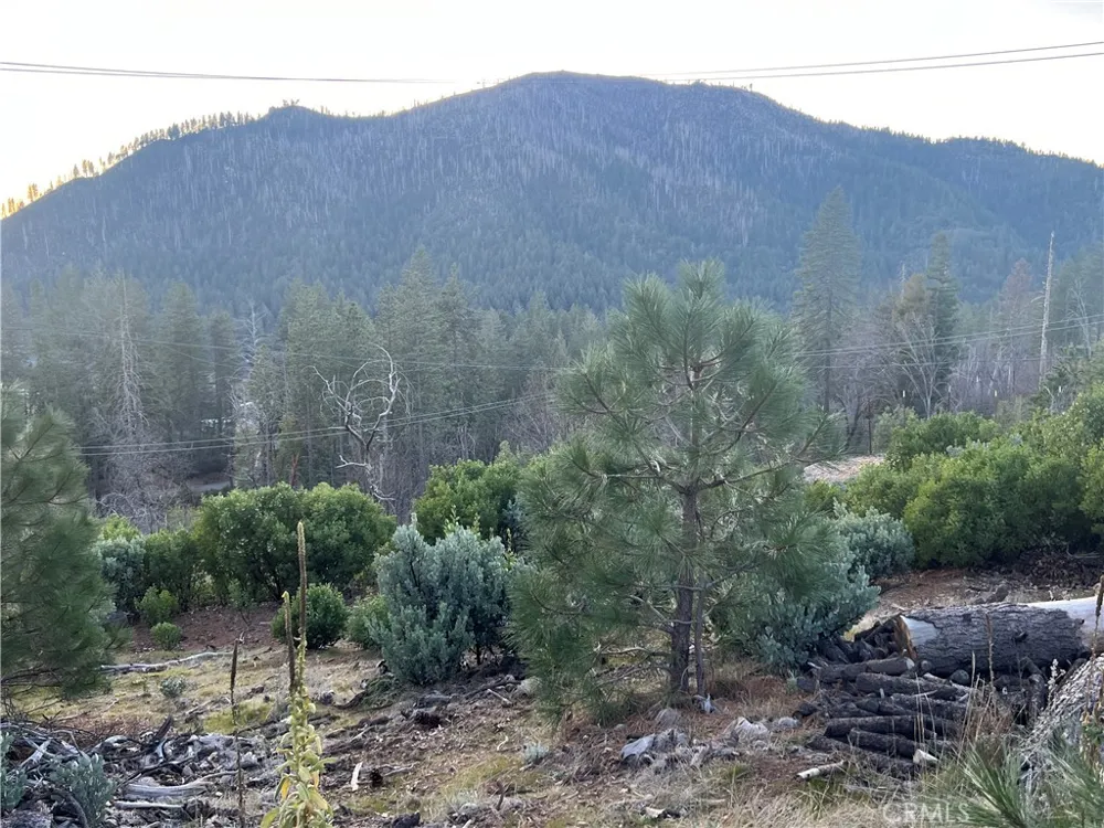 16790 Starview Loop Rd Cobb, CA 95426