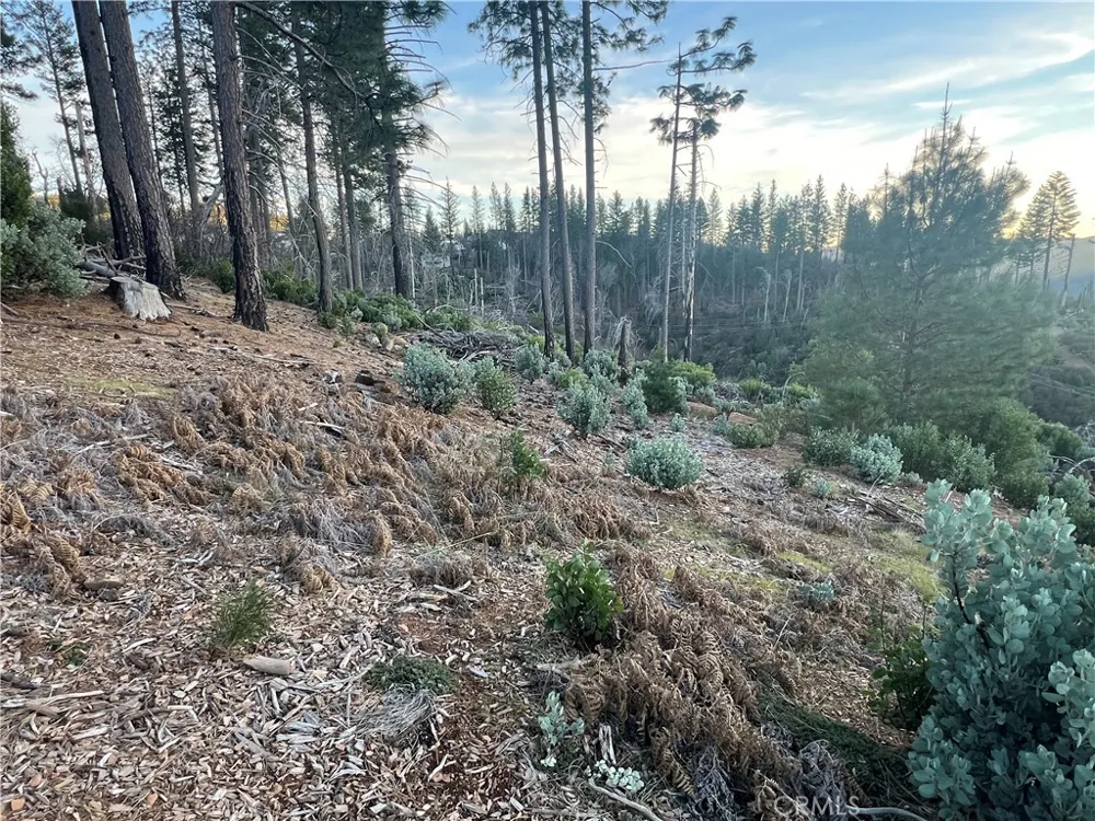 16790 Starview Loop Rd Cobb, CA 95426
