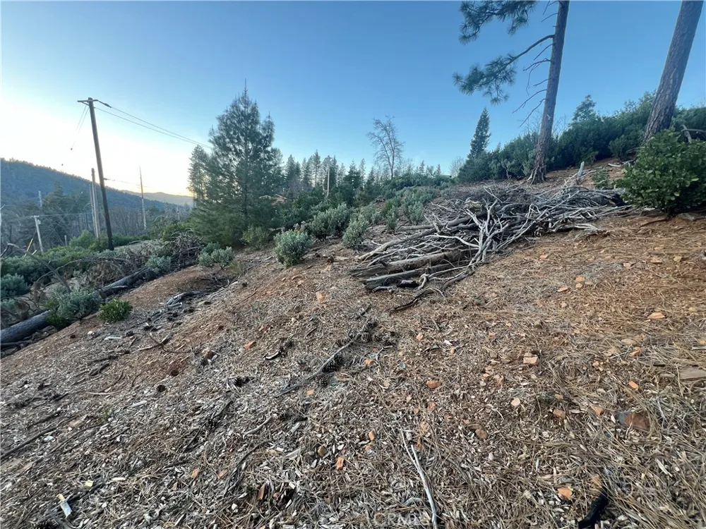 16790 Starview Loop Rd Cobb, CA 95426