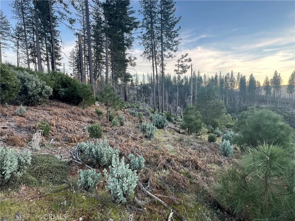 16790 Starview Loop Rd Cobb, CA 95426