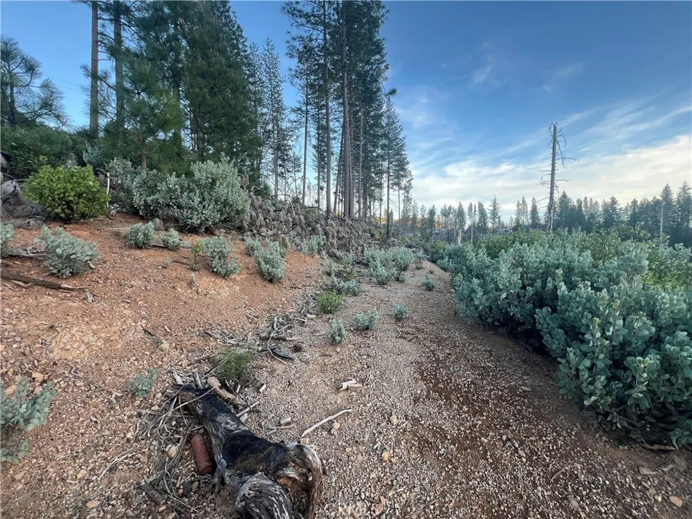 16790 Starview Loop Rd Cobb, CA 95426