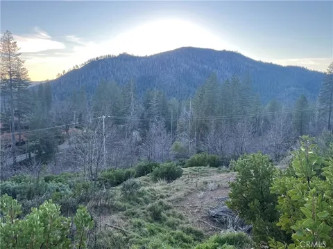 16790 Starview Loop Rd
