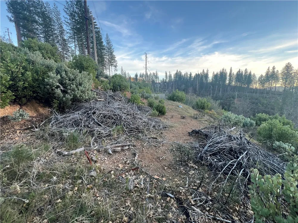 16790 Starview Loop Rd Cobb, CA 95426