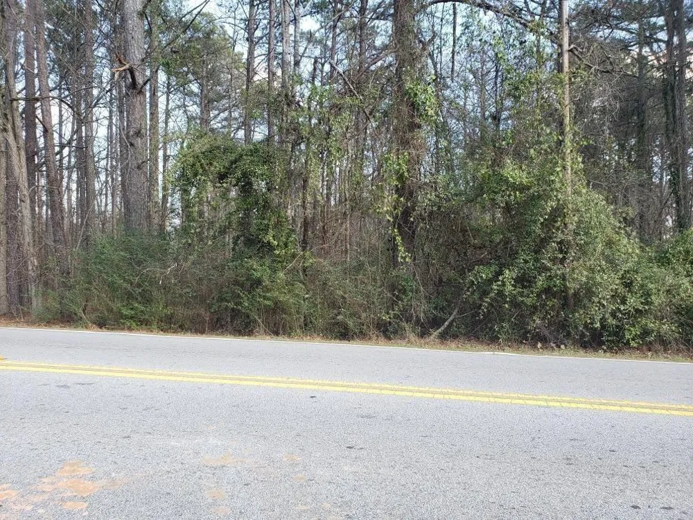 0 Pope Road Douglasville, GA 30135