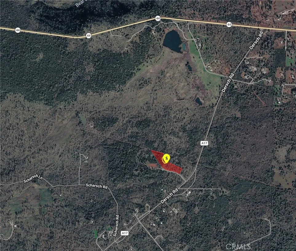 PIEDMONT CT Shingletown, CA 96088