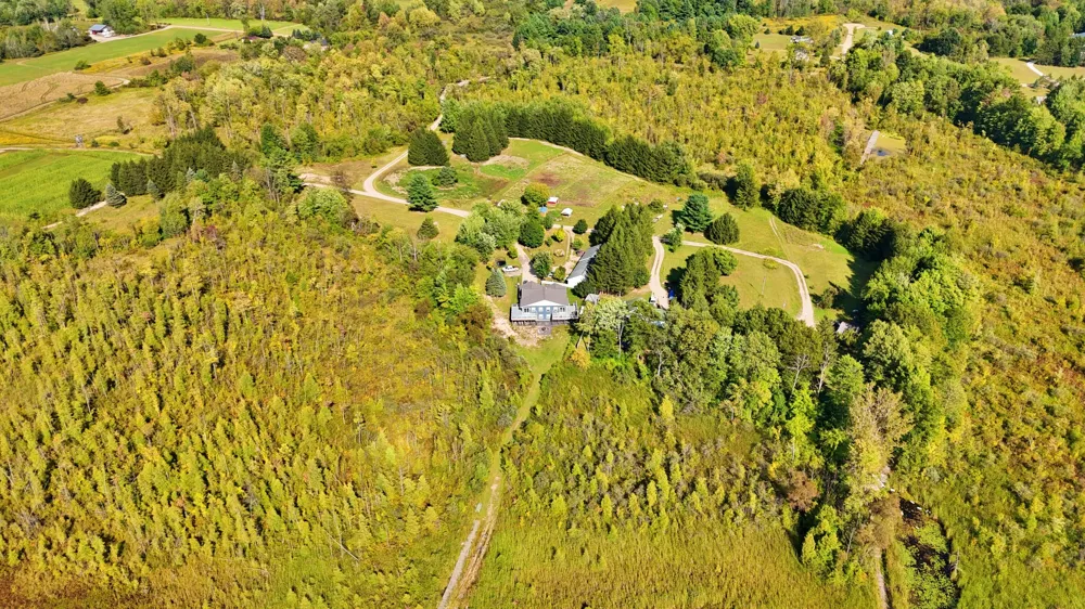 491 Bitter Creek Lane Pierson Township, MI 49339
