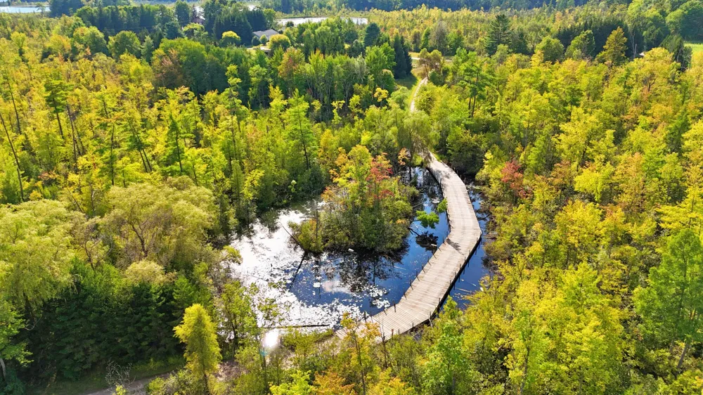 491 Bitter Creek Lane Pierson Township, MI 49339