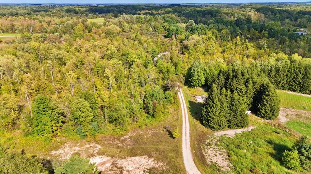 491 Bitter Creek Lane Pierson Township, MI 49339