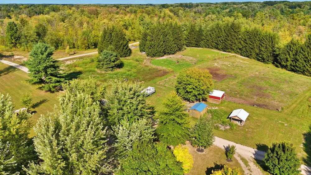 491 Bitter Creek Lane Pierson Township, MI 49339