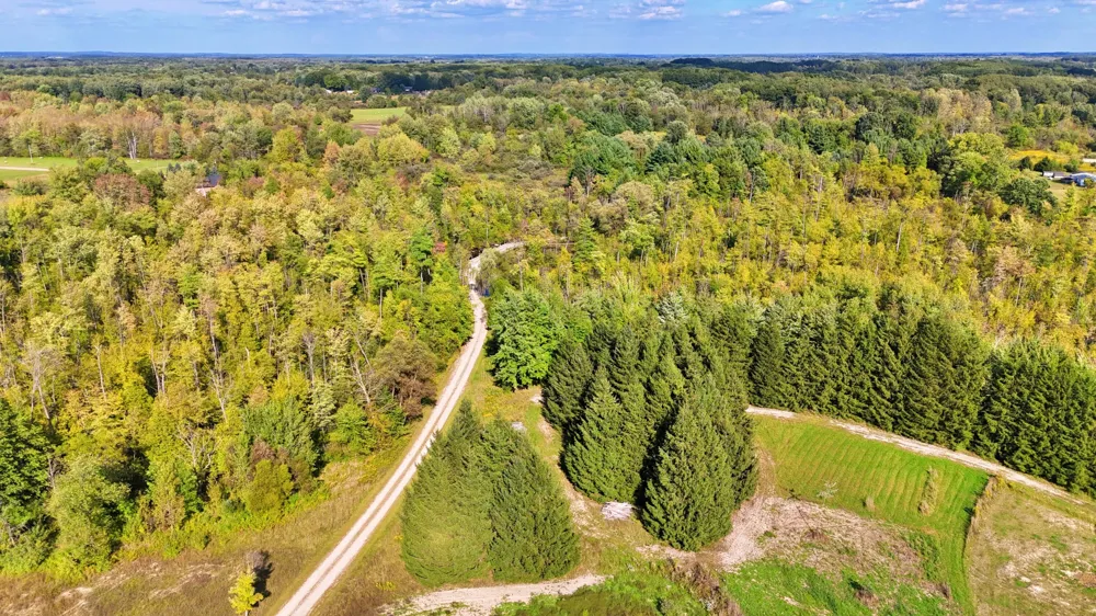 491 Bitter Creek Lane Pierson Township, MI 49339