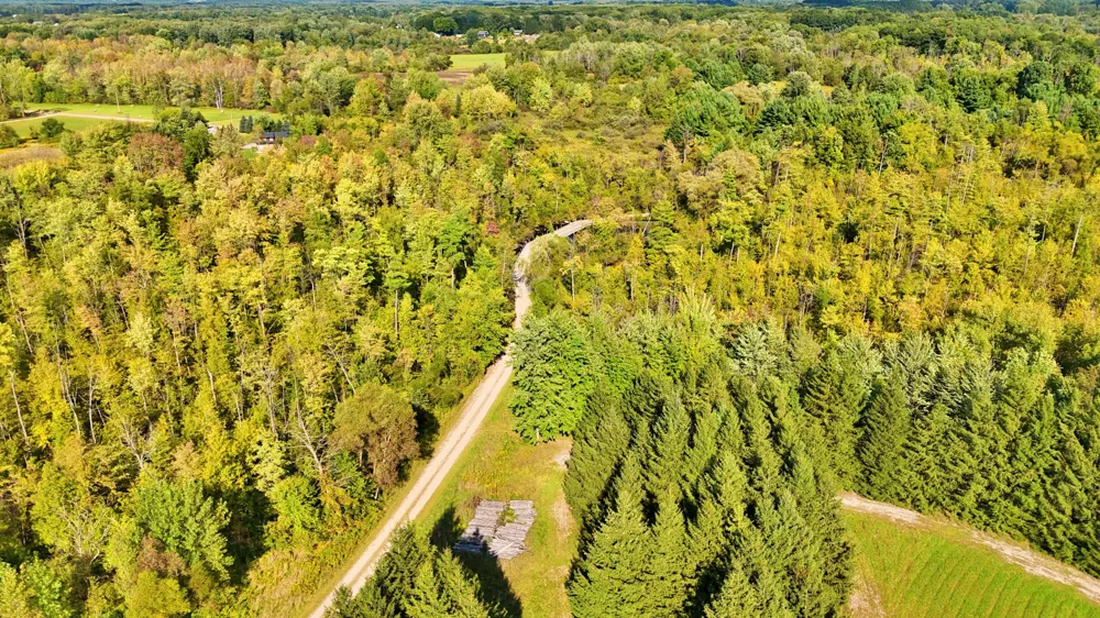 491 Bitter Creek Lane Pierson Township, MI 49339