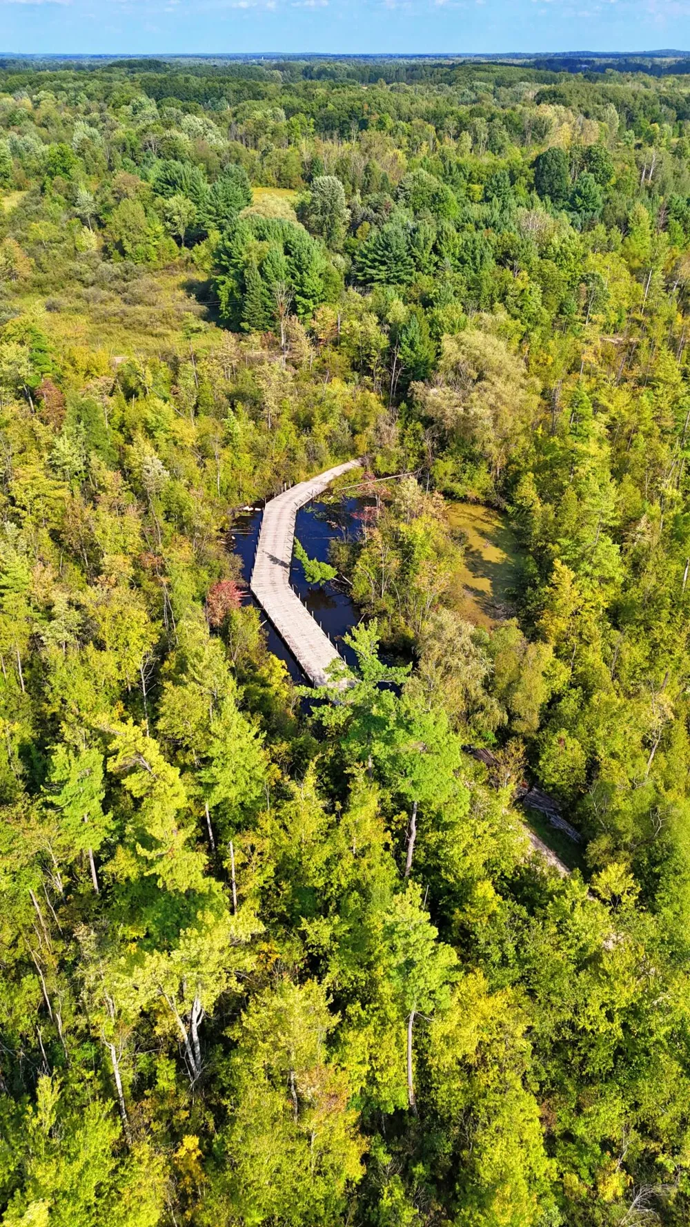 491 Bitter Creek Lane Pierson Township, MI 49339