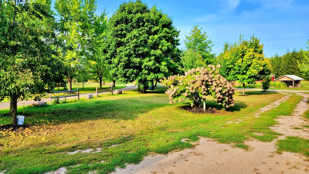 491 Bitter Creek Lane Pierson Township, MI 49339