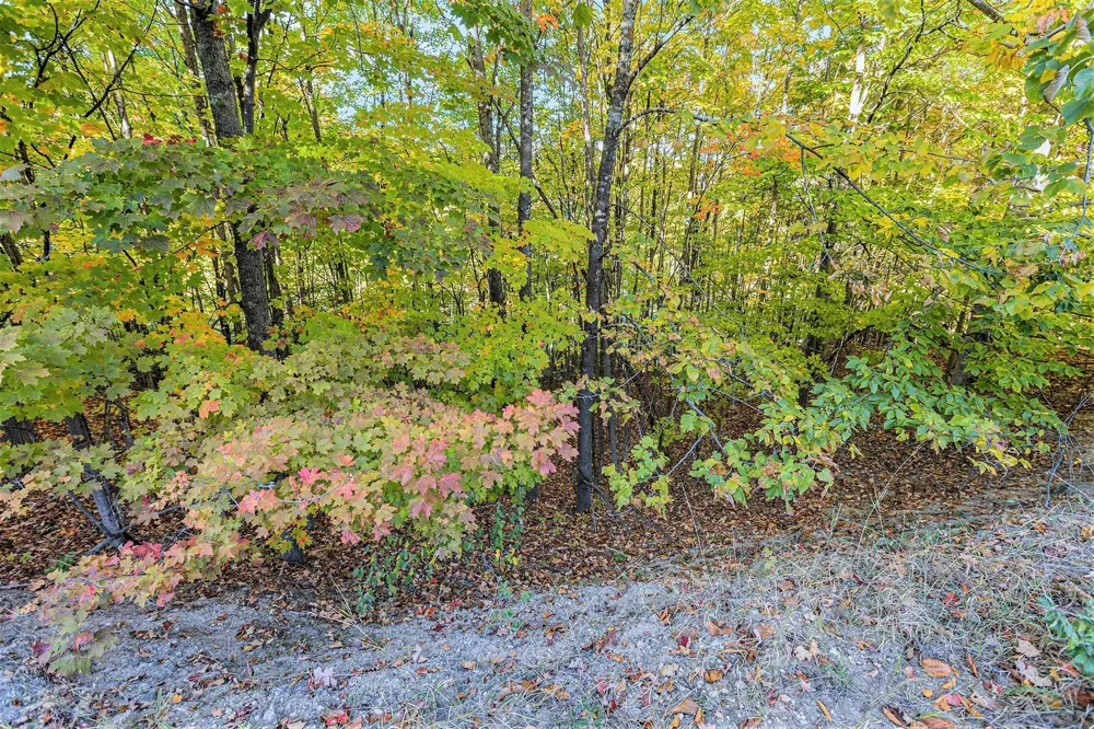 4885 Grayhawk Boulevard Garfield Charter Township, MI 49684