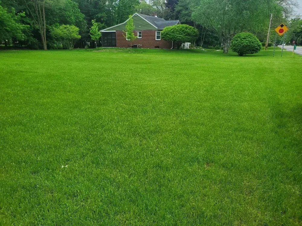 1616 E High Street Union Charter Township, MI 48858