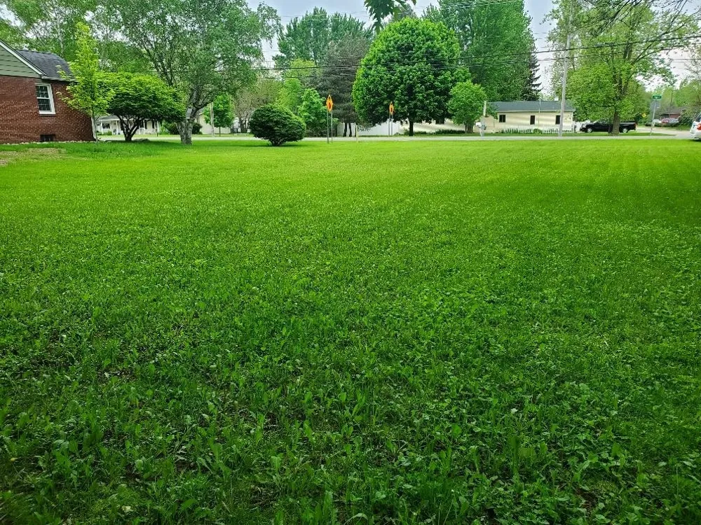 1616 E High Street Union Charter Township, MI 48858