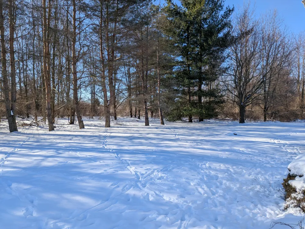 4464 Fisher Estates Lane Bruce Township, MI 48065