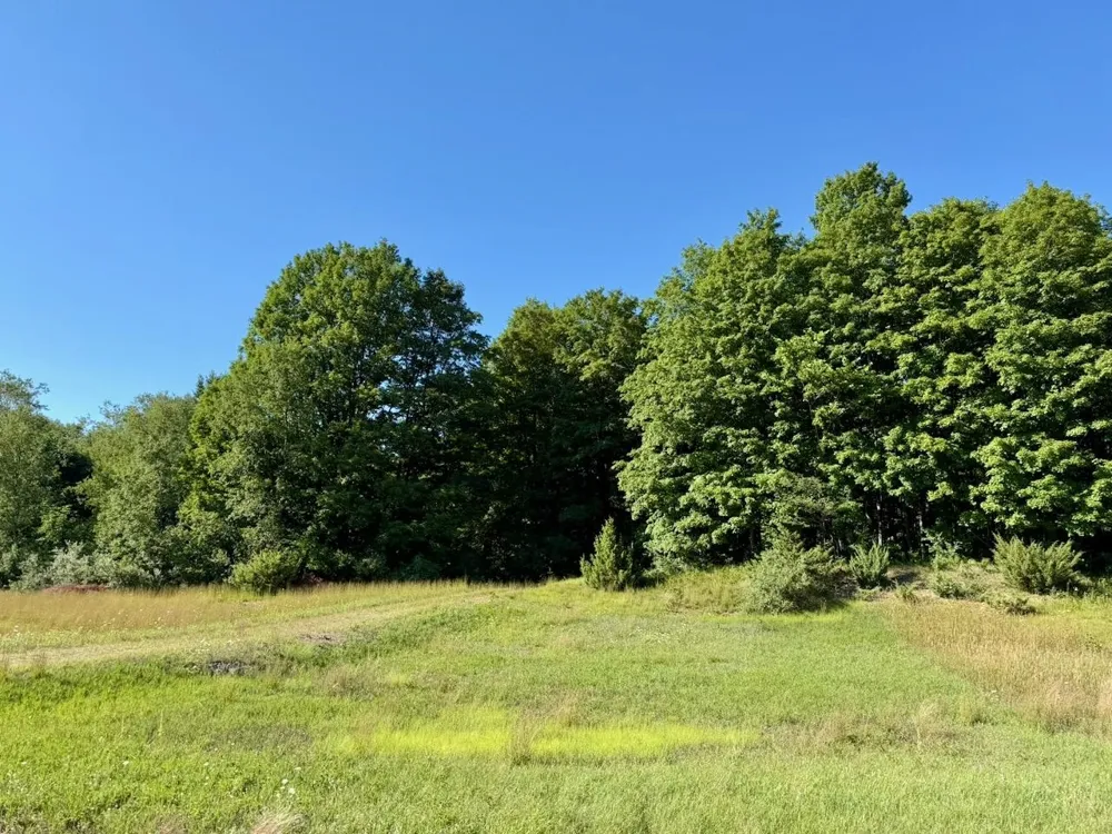 Alden Meadows Drive Helena Township, MI 49612